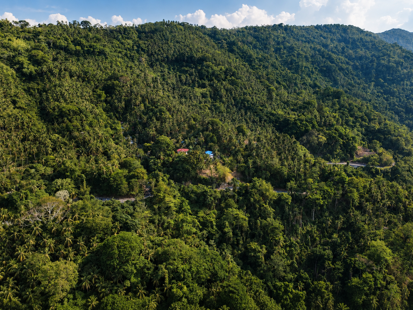 Lush mountain landscape surrounding the Dulangan property in Puerto Galera